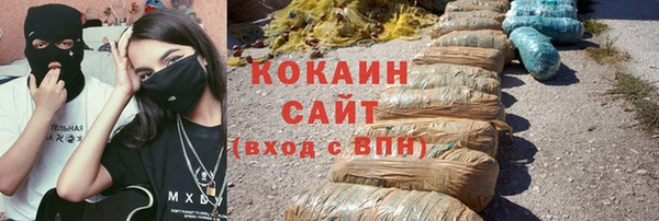 винт Абаза