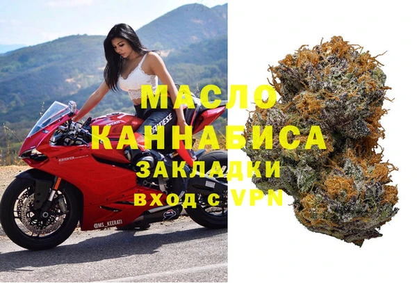 винт Абаза