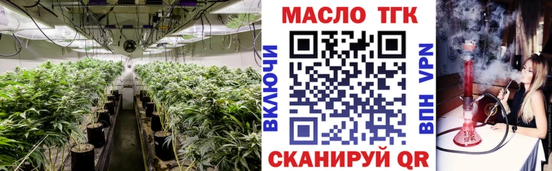 купить наркотики цена  Электросталь  Дистиллят ТГК Wax 