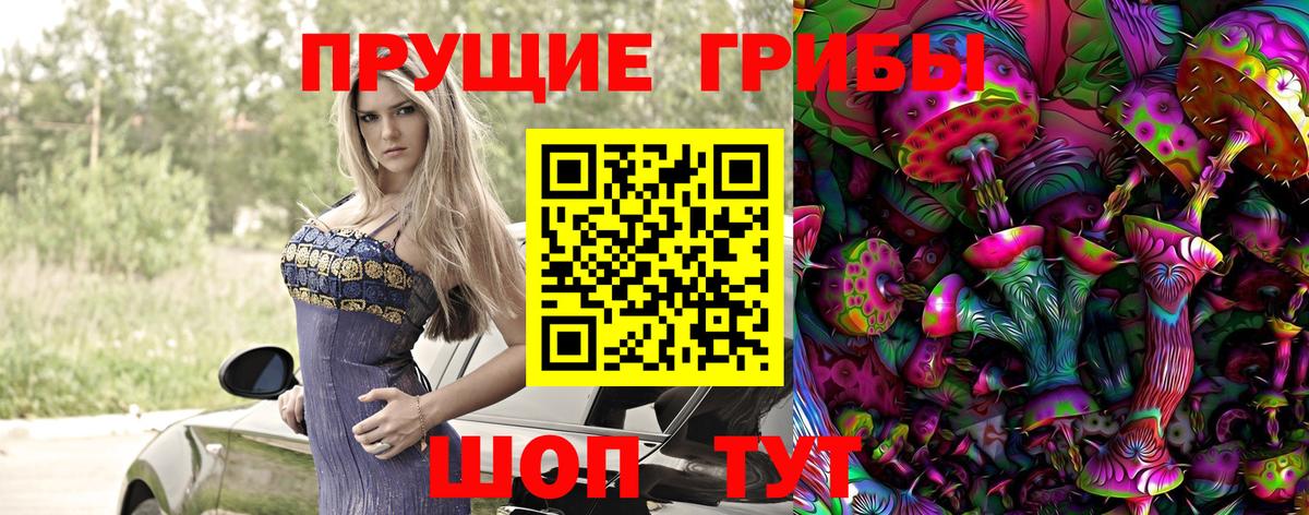 Электросталь  Галлюциногенные грибы MAGIC MUSHROOMS  купить   Вход с VPN 
